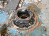 Enlarge Image